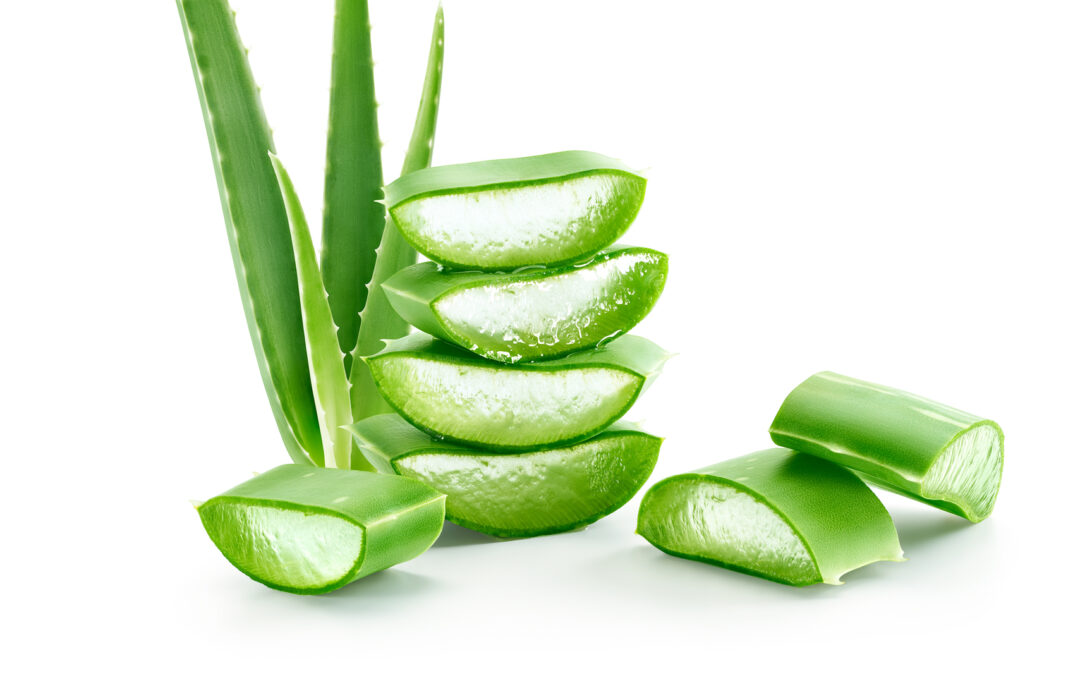 Is aloe good for your face?